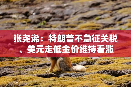 张尧浠：特朗普不急征关税、美元走低金价维持看涨
