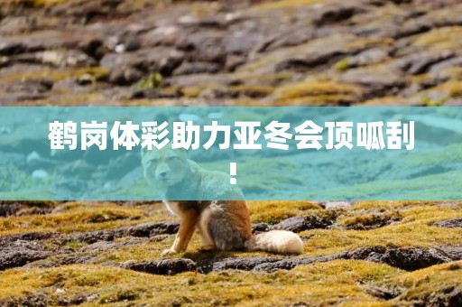 鹤岗体彩助力亚冬会顶呱刮!