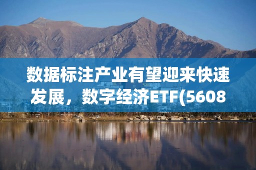 数据标注产业有望迎来快速发展，数字经济ETF(560800)备受关注