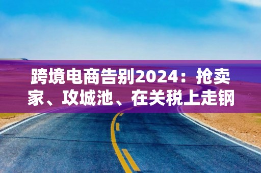 跨境电商告别2024：抢卖家、攻城池、在关税上走钢丝