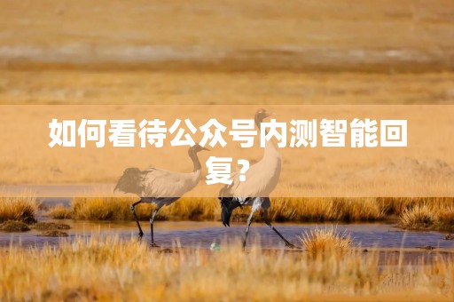 如何看待公众号内测智能回复？
