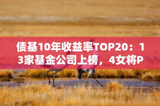 债基10年收益率TOP20：13家基金公司上榜，4女将PK18男生