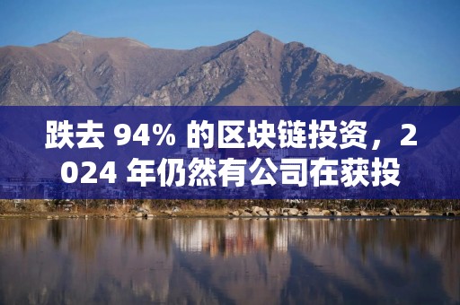 跌去 94% 的区块链投资，2024 年仍然有公司在获投