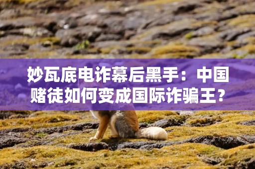 妙瓦底电诈幕后黑手：中国赌徒如何变成国际诈骗王？