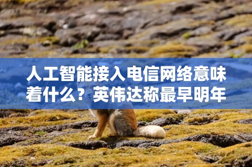 人工智能接入电信网络意味着什么？英伟达称最早明年下半年商用