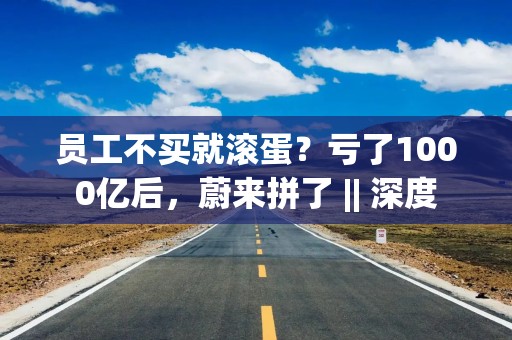 员工不买就滚蛋？亏了1000亿后，蔚来拼了 || 深度