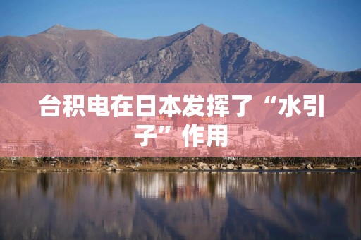 台积电在日本发挥了“水引子”作用