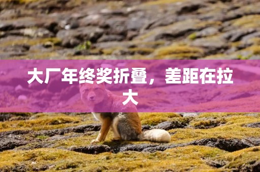 大厂年终奖折叠，差距在拉大