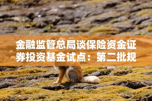 金融监管总局谈保险资金证券投资基金试点：第二批规模拟定1000亿元 准备春节前先批500亿元