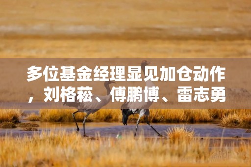 多位基金经理显见加仓动作，刘格菘、傅鹏博、雷志勇等在列，明确看多做多