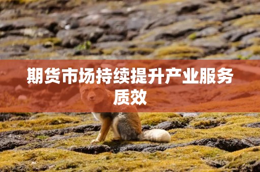 期货市场持续提升产业服务质效