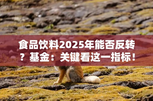 食品饮料2025年能否反转？基金：关键看这一指标！