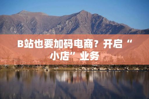B站也要加码电商？开启“小店”业务