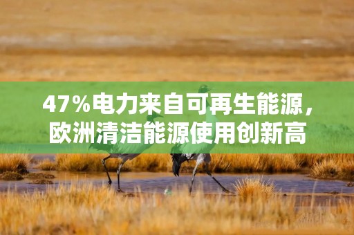 47%电力来自可再生能源，欧洲清洁能源使用创新高