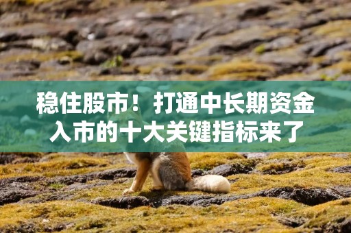 稳住股市！打通中长期资金入市的十大关键指标来了