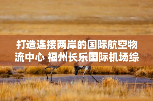 打造连接两岸的国际航空物流中心 福州长乐国际机场综合保税区通过封关预验收