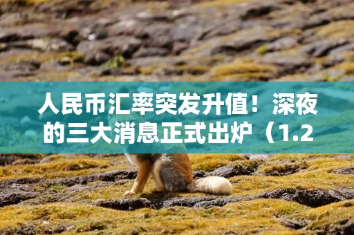 人民币汇率突发升值！深夜的三大消息正式出炉（1.24）！