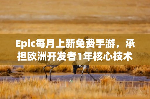 Epic每月上新免费手游，承担欧洲开发者1年核心技术费