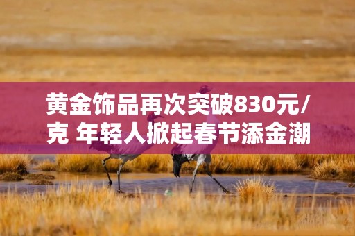 黄金饰品再次突破830元/克 年轻人掀起春节添金潮