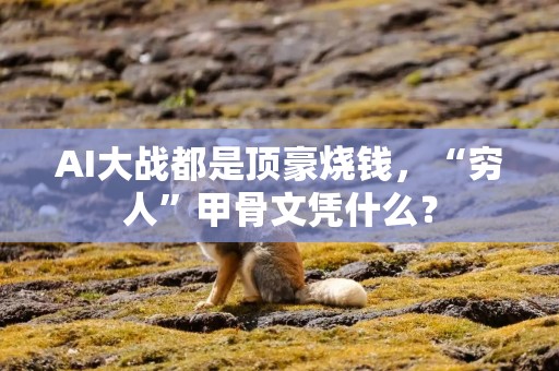 AI大战都是顶豪烧钱，“穷人”甲骨文凭什么？