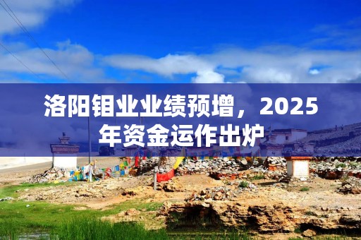 洛阳钼业业绩预增，2025年资金运作出炉