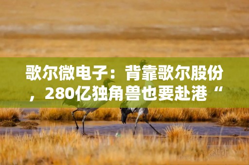 歌尔微电子：背靠歌尔股份，280亿独角兽也要赴港“补血”