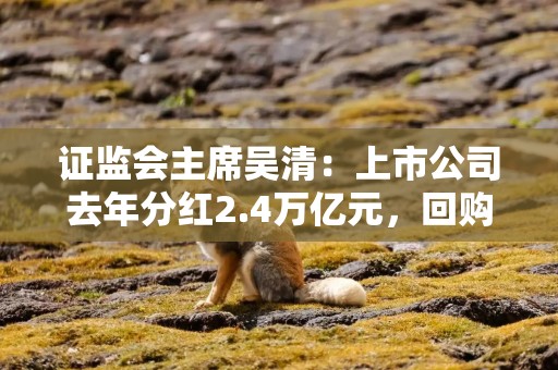 证监会主席吴清：上市公司去年分红2.4万亿元，回购1476亿元，均创历史新高｜快讯