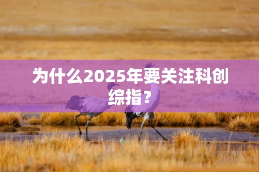 为什么2025年要关注科创综指？