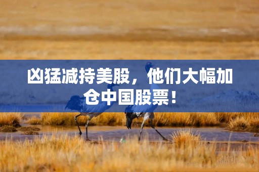 凶猛减持美股，他们大幅加仓中国股票！