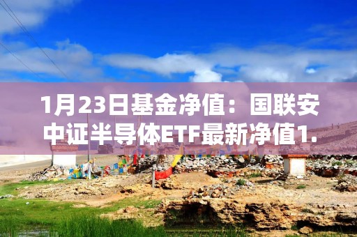 1月23日基金净值：国联安中证半导体ETF最新净值1.0078，跌1.48%