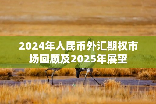 2024年人民币外汇期权市场回顾及2025年展望