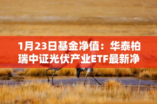 1月23日基金净值：华泰柏瑞中证光伏产业ETF最新净值0.7153，跌0.51%