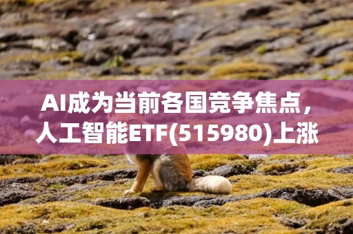 AI成为当前各国竞争焦点，人工智能ETF(515980)上涨2.17%，机构：国产算力需求有望持续增加