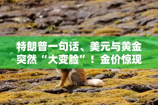 特朗普一句话、美元与黄金突然“大变脸”！金价惊现V型反弹 如何交易黄金？