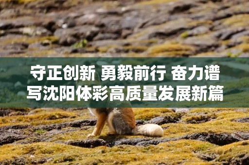 守正创新 勇毅前行 奋力谱写沈阳体彩高质量发展新篇章——沈阳体彩销量突破25亿元