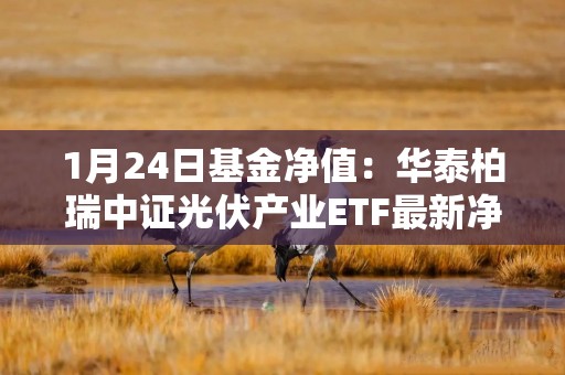 1月24日基金净值：华泰柏瑞中证光伏产业ETF最新净值0.7285，涨1.85%