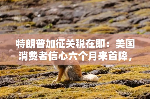 特朗普加征关税在即：美国消费者信心六个月来首降，通胀预期恶化