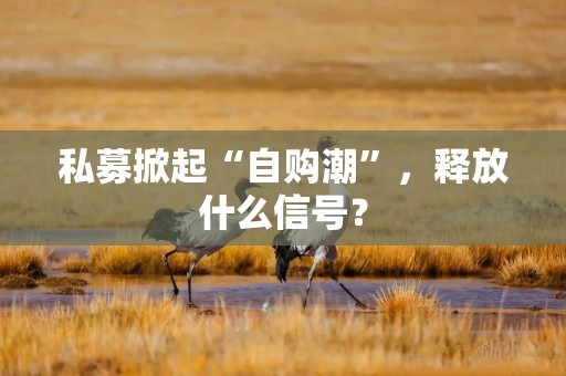 私募掀起“自购潮”，释放什么信号？