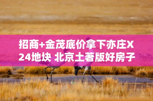招商+金茂底价拿下亦庄X24地块 北京土著版好房子来了