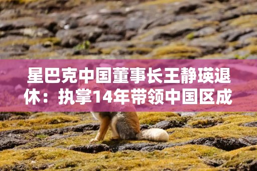 星巴克中国董事长王静瑛退休：执掌14年带领中国区成为星巴克最大国际市场
