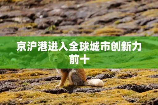 京沪港进入全球城市创新力前十