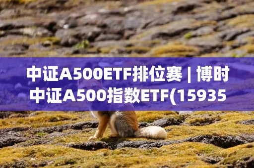 中证A500ETF排位赛 | 博时中证A500指数ETF(159357)昨日“吸金”居同赛道第一，招商规模被广发反超