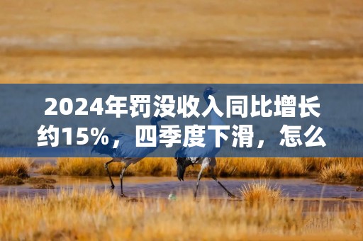 2024年罚没收入同比增长约15%，四季度下滑，怎么看？
