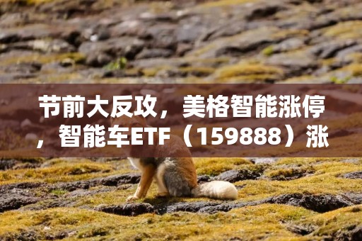 节前大反攻，美格智能涨停，智能车ETF（159888）涨超2.51%