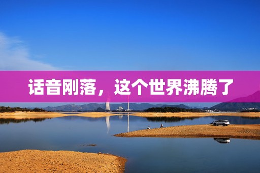 话音刚落，这个世界沸腾了