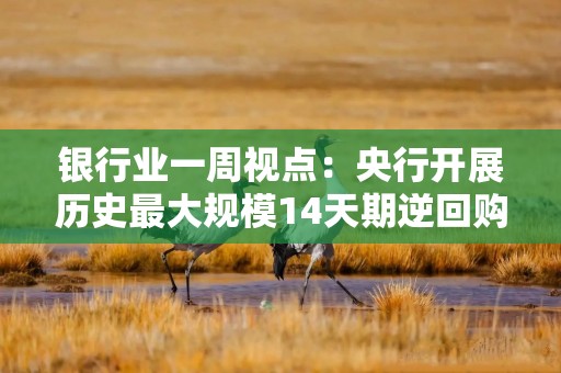 银行业一周视点：央行开展历史最大规模14天期逆回购，上市银行陆续披露2024业绩快报