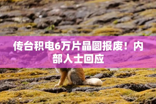 传台积电6万片晶圆报废！内部人士回应