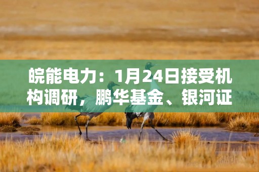 皖能电力：1月24日接受机构调研，鹏华基金、银河证券等多家机构参与