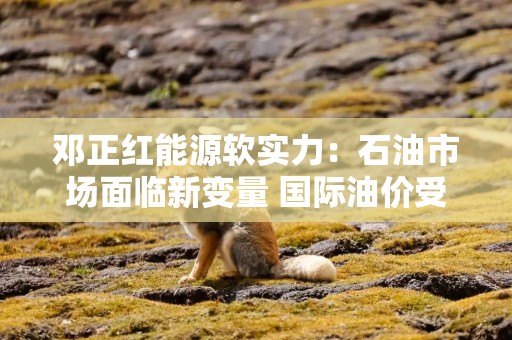邓正红能源软实力：石油市场面临新变量 国际油价受压延续偏弱走势 原油库存降