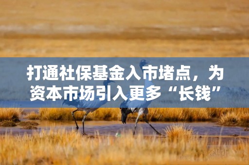 打通社保基金入市堵点，为资本市场引入更多“长钱”